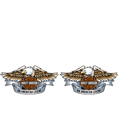 Gourde Alu et Thermos Harley Davidson Aigle