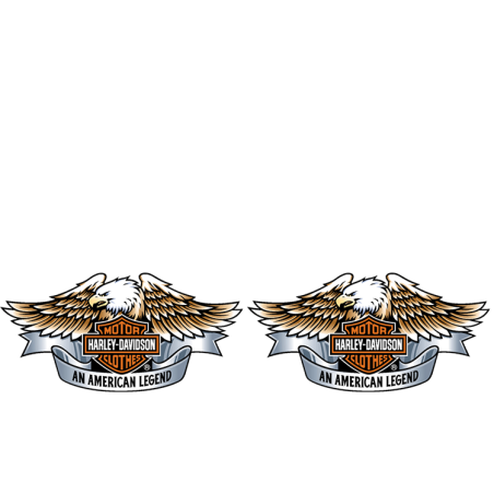 Gourde Alu et Thermos Harley Davidson Aigle Gourde Alu et Thermos Harley Davidson Aigle
