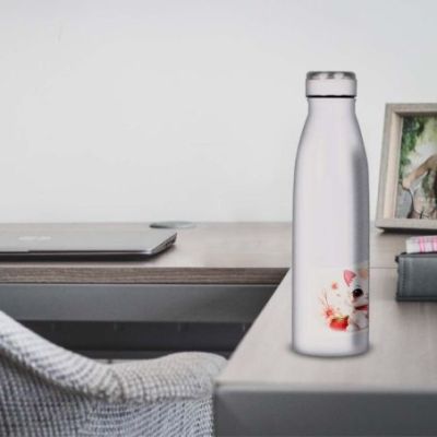 Gourde Alu et Thermos Chat Maneki-neko