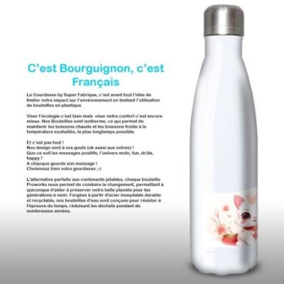 Gourde Alu et Thermos Chat Maneki-neko